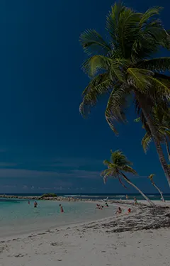 Plages paradisiaques - Plages de Grande-Terre