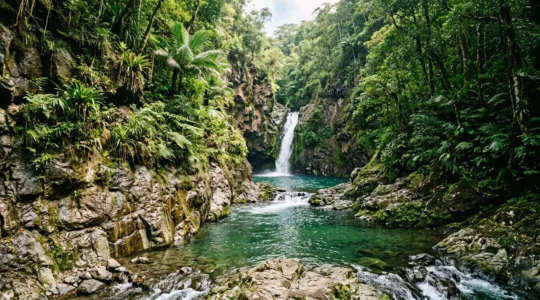 Parcours de canyoning en montagne tropicale avec cascades et végétation luxuriante de Guadeloupe