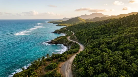 Vue aérienne d'une route sinueuse en Guadeloupe serpentant entre végétation tropicale luxuriante et mer turquoise, symbolisant le choix stratégique entre Basse-Terre et Grande-Terre