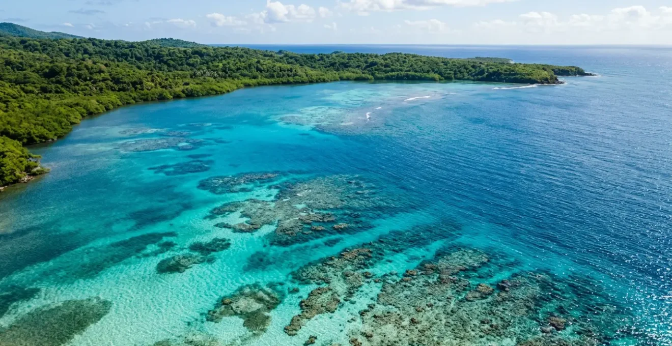 Vue aérienne d'un lagon de Guadeloupe avec récifs coralliens et eaux turquoise, illustrant la fragilité de l'écosystème marin