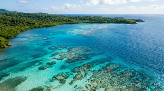 Vue aérienne d'un lagon de Guadeloupe avec récifs coralliens et eaux turquoise, illustrant la fragilité de l'écosystème marin