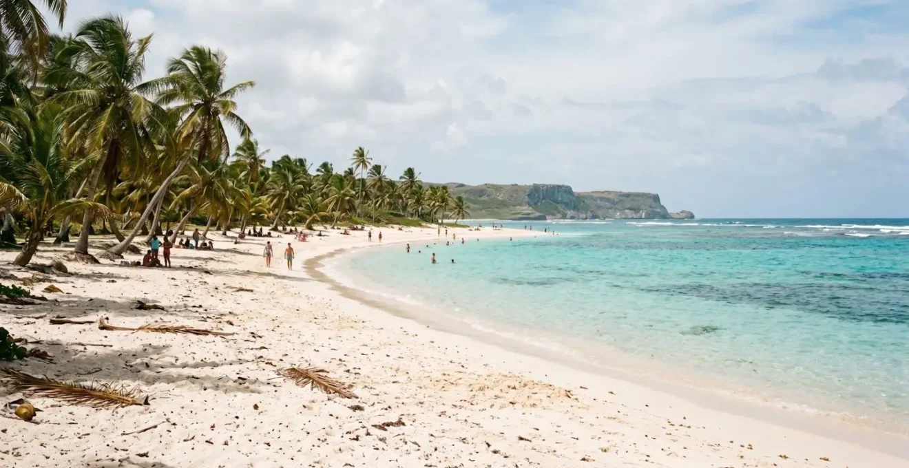 Plage de sable blanc immaculé bordée de cocotiers avec eau turquoise cristalline en Grande-Terre, Guadeloupe