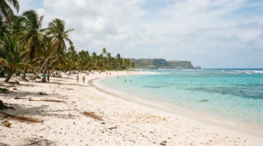 Plage de sable blanc immaculé bordée de cocotiers avec eau turquoise cristalline en Grande-Terre, Guadeloupe