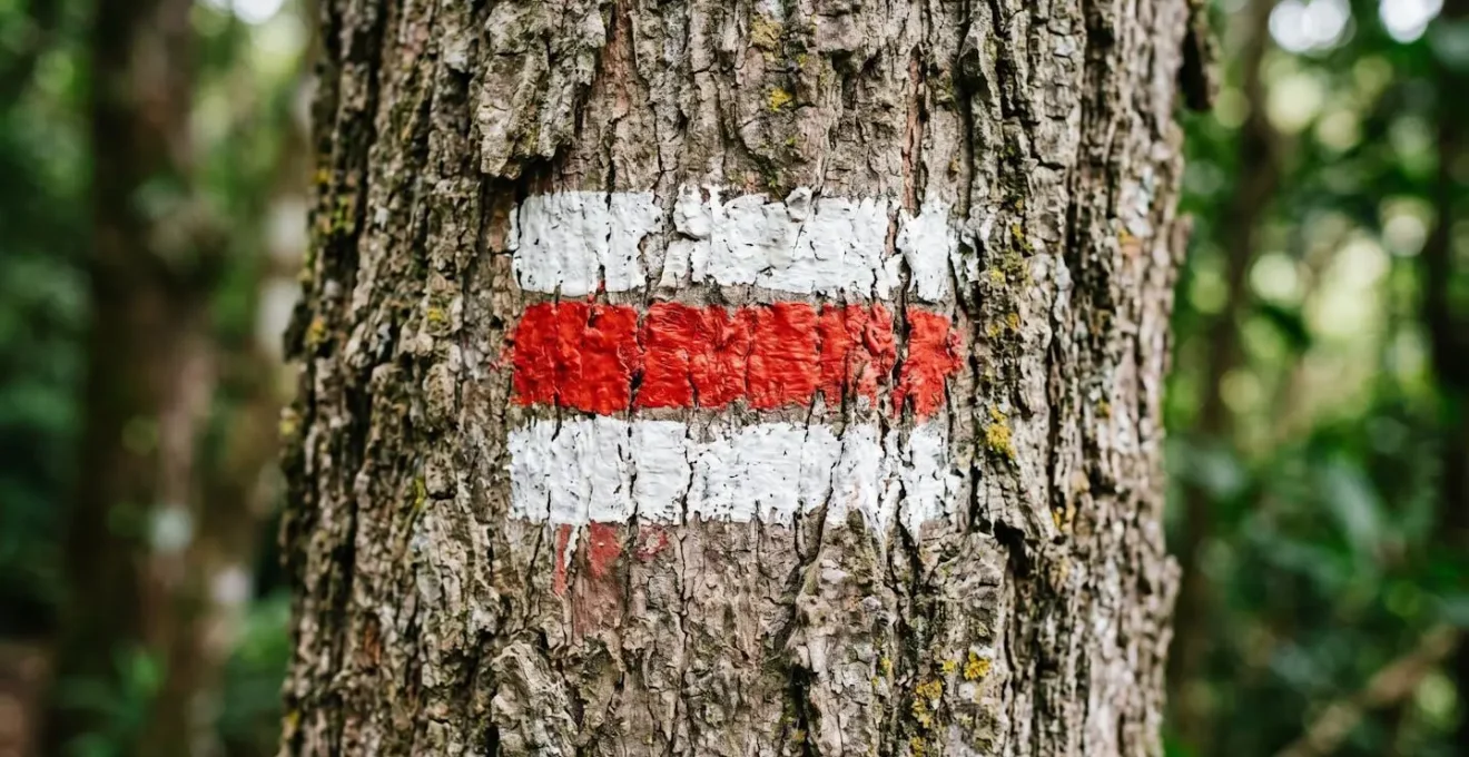 Marque de balisage blanc et rouge officielle des sentiers GR sur un tronc d'arbre à la Réunion