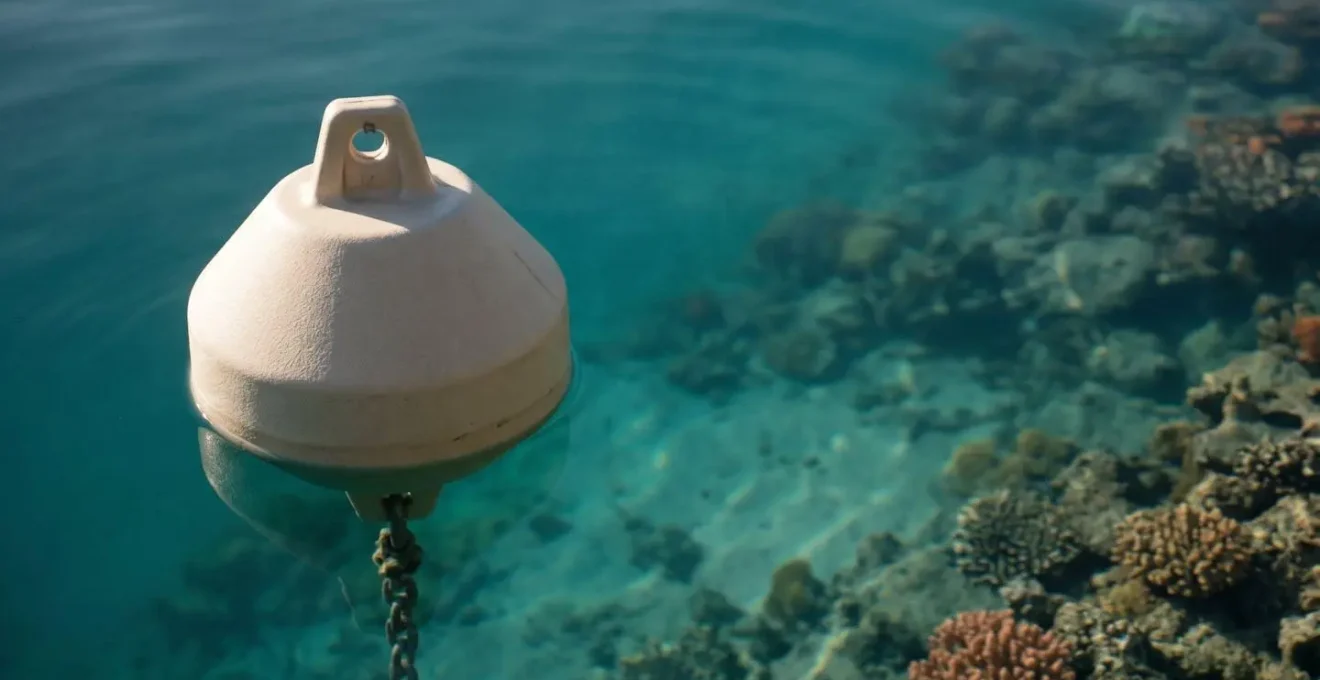 Bouée de corps-mort écologique illustrant la protection des fonds marins fragiles