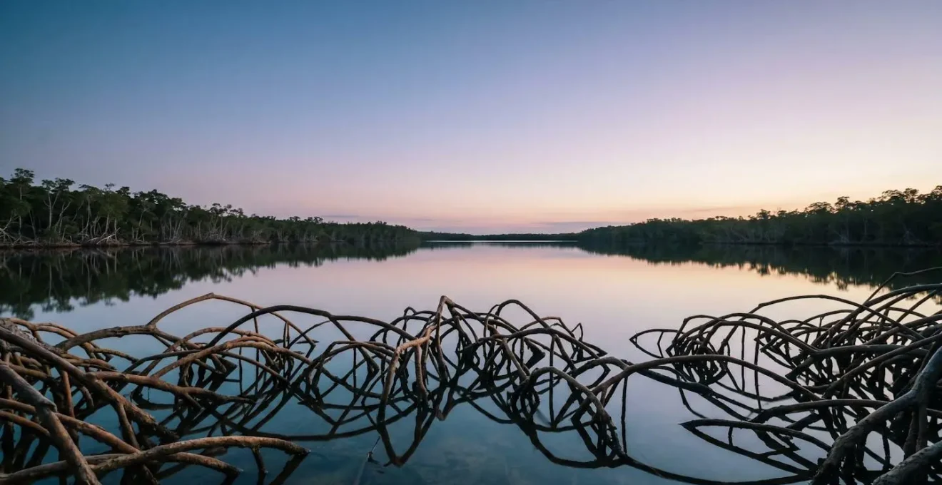 Vue panoramique minimaliste de la mangrove du Grand Cul-de-sac Marin avec racines de palétuviers