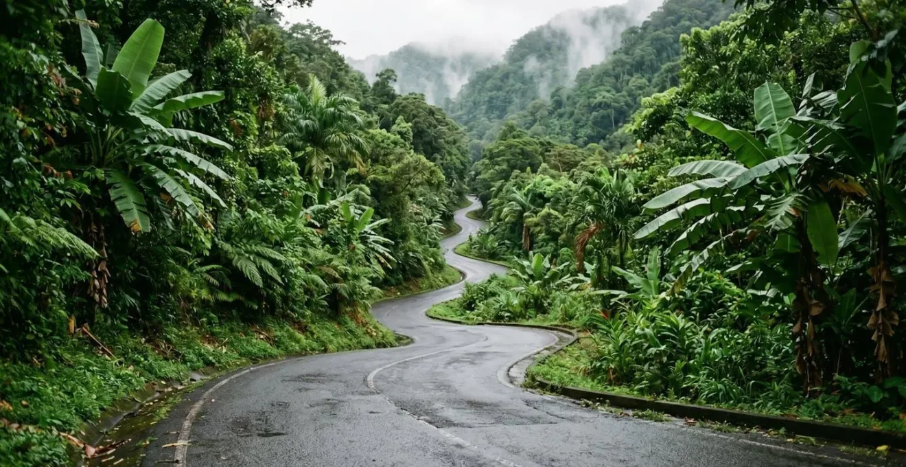 Route de montagne sinueuse en Basse-Terre entourée de végétation tropicale luxuriante